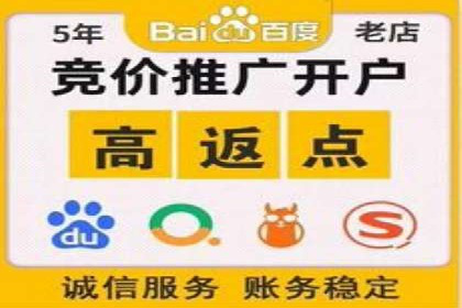 某大型平台开户返点效果评估报告